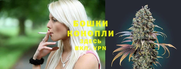 твердый Верея