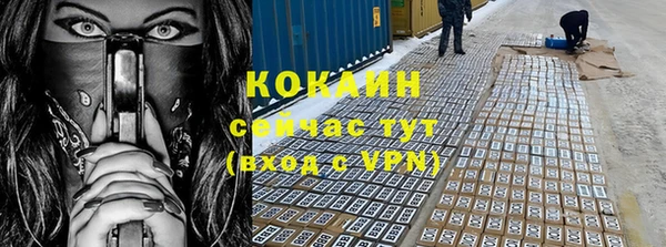 дживик Верхний Тагил