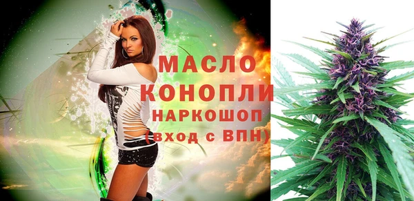 дживик Верхний Тагил