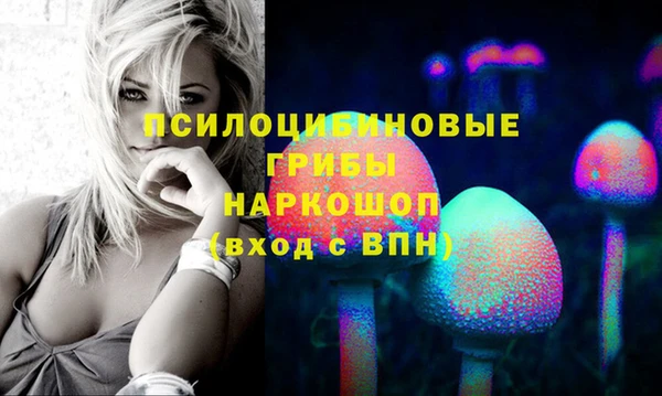 твердый Верея