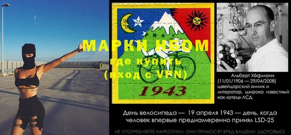 дживик Верхний Тагил