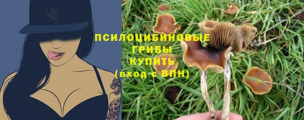дживик Верхний Тагил