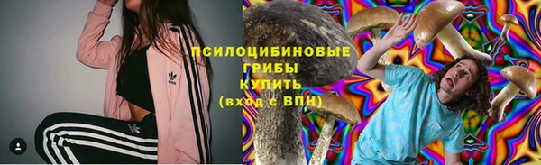 дживик Верхний Тагил