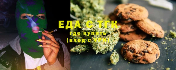 дживик Верхний Тагил