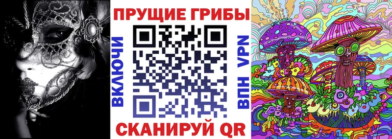 Купить закладки  Волосово  Галлюциногенные грибы Magic Shrooms 