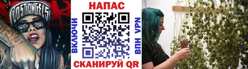 Марихуана планчик  Купить где  Волосово 